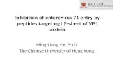 Inhibition of enterovirus 71 entry by peptides targeting I β-sheet of VP1 protein
