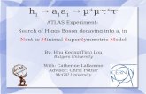 h 1  → a 1 a 1  → µ + µ - τ + τ - ATLAS Experiment:  Search of Higgs Boson decaying into a 1  in