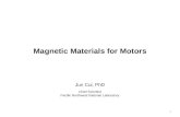 Magnetic Materials for Motors