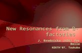 New Resonances from B-factories