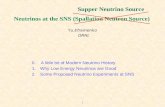 Neutrinos at the SNS (Spallation Neutron Source)