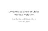 Dynamic Balance of Cloud Vertical Velocity