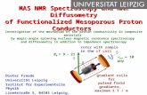 MAS NMR Spectroscopy and NMR Diffusometry of Functionalized Mesoporous Proton Conductors