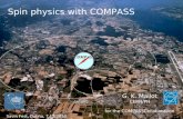 Spin physics with COMPASS