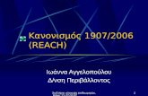 Κανονισμός 1907/2006 ( REACH)