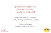 Quarkonium suppression  from SPS to RHIC