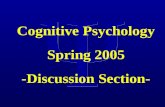 Cognitive Psychology Spring 2005 -Discussion Section-