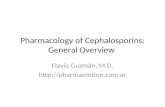Pharmacology  of  Cephalosporins : General  Overview