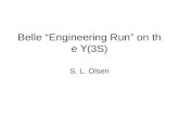 Belle “Engineering Run” on the  Υ (3S)