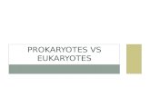 Prokaryotes  vs  Eukaryotes