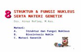 Materi: A.  Struktur dan Fungsi Nukleus B. Biosintesis Nukleus C.Materi Genetik