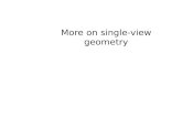 More on single-view geometry