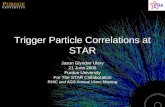 Trigger Particle Correlations at STAR