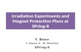 Irradiation Experiments and Magnet Protection Plans at SPring-8
