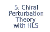 5. Chiral Perturbation Theory with HLS