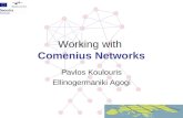 Working with  Comenius Networks