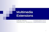 Multimedia Extensions