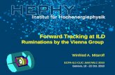Forward Tracking at ILD   Ruminations by the Vienna Group