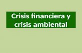 Crisis financiera y crisis ambiental
