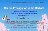 Hadron Propagation in the Medium