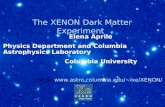 The XENON Dark Matter Experiment