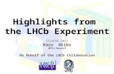 Highlights from  the  LHCb  Experiment