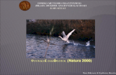 Φυσικοί οικότοποι ( Natura 2000)