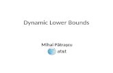 Dynamic Lower Bounds