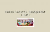 Human Capital Management  ( HCM )