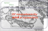 Of neurotoxicity and α -synuclein