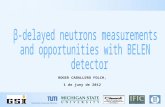 β - delayed neutrons measurements  and opportunities with BELEN  detector