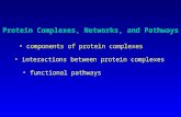 Protein Complexes, Networks, and Pathways
