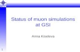 Status of muon simulations at GSI