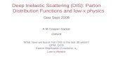 Deep Inelastic Scattering (DIS): Parton Distribution Functions and low-x physics Goa Sept 2008