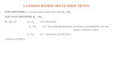 1.CODON-BASED SELECTION TESTS