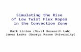 Simulating the Rise  of Low Twist Flux Ropes