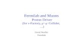 Fermilab and Muons  Proton Driver (for  ½ -Factory,  ¼ + - ¼ -  Collider,   )