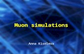 Muon simulations