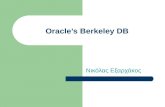 Oracle’s Berkeley DB