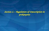 Section  L â€“ Regulation of transcription in prokaryotes