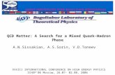 QCD Matter: A Search for a Mixed Quark-Hadron Phase