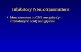 Inhibitory Neurotransmitters