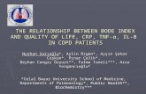 THE RELATIONSHIP BETWEEN BODE INDEX AND QUALITY OF LIFE, CRP, TNF-α, IL-8  IN COPD PATIENTS