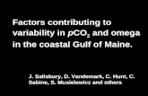 Factors contributing to variability in  p CO 2  and omega in the coastal Gulf of Maine.