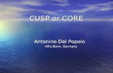 CUSP or CORE
