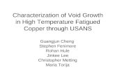 Characterization of Void Growth in High Temperature Fatigued Copper through USANS
