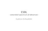 ESBL - extended-spectrum  β -laktamasi