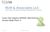 RLM & Associates LLC Your Lean Six Sigma & Project Management Trainers