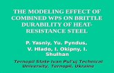 THE  MODELING  EFFECT  OF COMBINED WPS ON BRITTLE DURABILITY OF HEAT-RESISTANCE STEEL