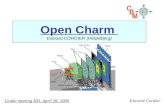 Open Charm  Everard CORDIER  (Heidelberg)